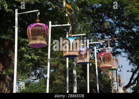 Bird cage hang on a pole in a park. Stock Photo