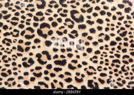 image background exotic fabric imitation leopard skin Stock Photo