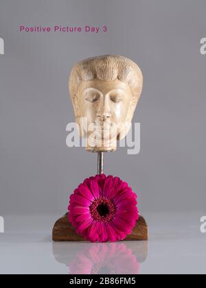 Two pink Gerbera flowers still life study with figure of buddha type statue Stock Photo