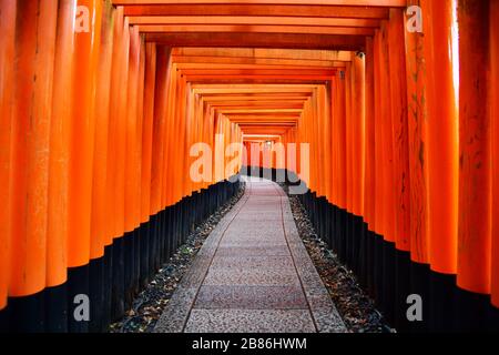 Kyoto, Japan – October 2019: Torri gates at Fushimi Inari Shrine in Kyoto. The shrine is famous for its thousands of vermilion torii gates at the base Stock Photo