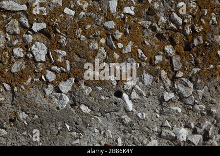 Gray concrete with inserts of white granite stones and stone stones. Concrete is covered with yellow mold. Stock Photo