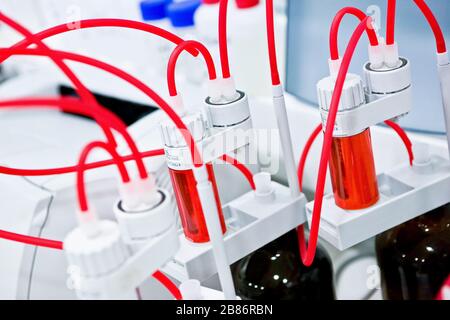 Medicines samples in small tubes in the laboratory Stock Photo