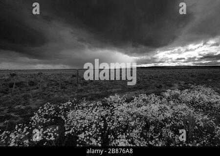 Dramatic clouds over the Patagonia Steppe desert, near Punta Arenas city, Patagonia, Chile, South America Stock Photo