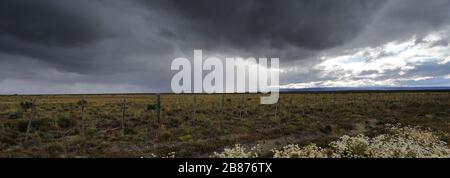 Dramatic clouds over the Patagonia Steppe desert, near Punta Arenas city, Patagonia, Chile, South America Stock Photo