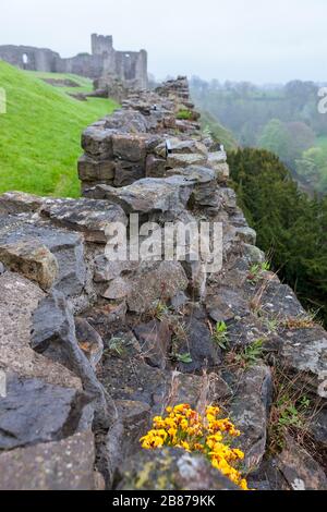 Yorkshire - Richmond Castle overlooking the River Swale Stock Photo - Alamy