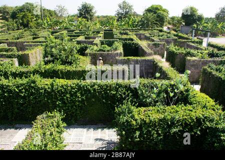 Maze plant garden for thai people and foreigner travelers travel visit and playing game at outdoor at cafe and restaurant in Ratchaburi, Thailand Stock Photo