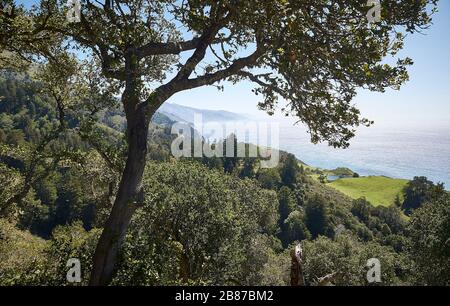 Beautiful view from the Nepenthe Restaurant  in Big Sur onto the coast. Stock Photo