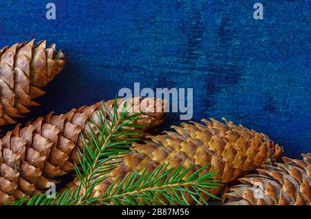 Traditional christmas decorations background. Spruce twigs and cones on wooden board Stock Photo