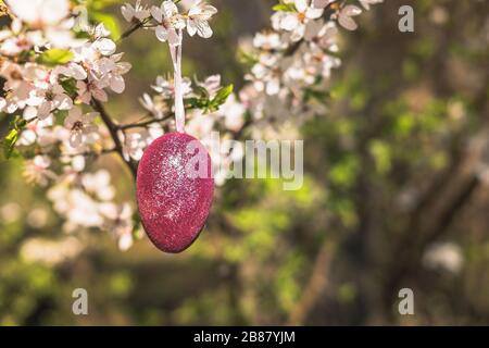 Pink artificial glitter Easter egg hanging on flowering branch of a spring tree. Easter spring holiday concept Stock Photo