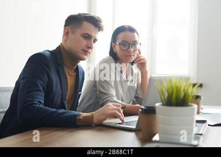Young business partners using laptop in their work while sitting at the table together at office Stock Photo