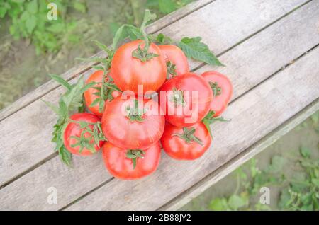 Abstract square pixel mosaic background. Mosaic background set Fresh tomatos on rustic wooden background Stock Photo