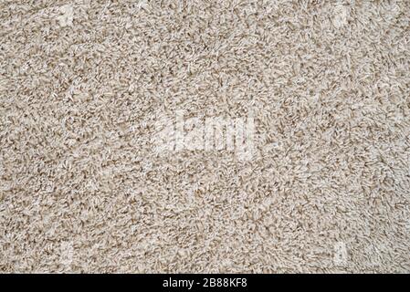 Texture. Abstract background. Fleecy cover of the carpet. Stock Photo