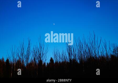 Moon in blue sky Stock Photo
