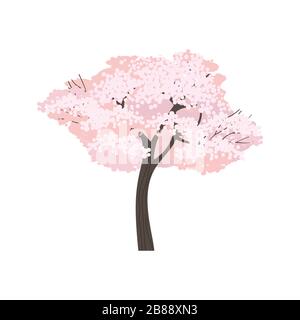 Blossoming cherry tree isolated on white Stock Vector