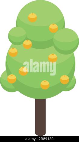 Apricot tree icon, isometric style Stock Vector