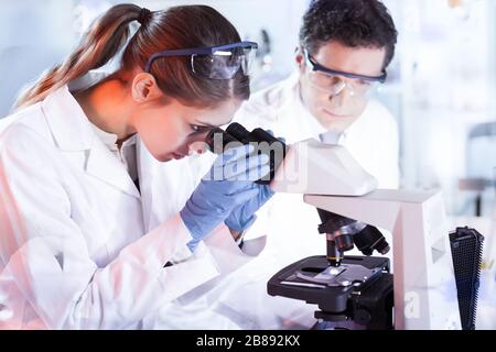 Young researchers researching in life science laboratory. Stock Photo
