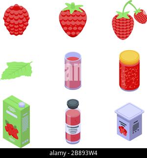 Raspberry icons set, isometric style Stock Vector