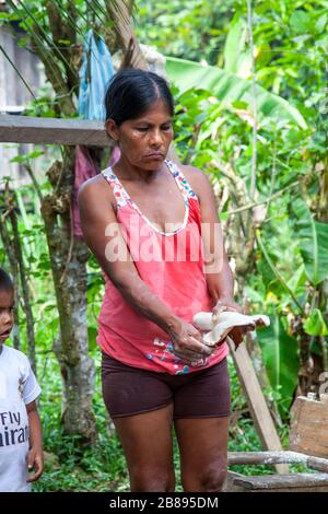 Ticuna tribe woman peeling a yuca in the Indian reservation at Mocagua,Amazon, Colombia, South America. Stock Photo