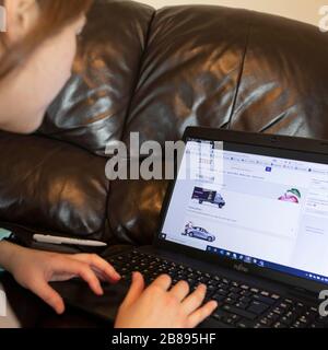 Cardiff, Wales, UK. 20th Mar, 2020. CARDIFF, WALES, UNITED KINGDOM - MARCH 20, 2020 - A woman in self isolation orders grocery shopping online from the Tesco website. Credit: Mark Hawkins/Alamy Live News Stock Photo