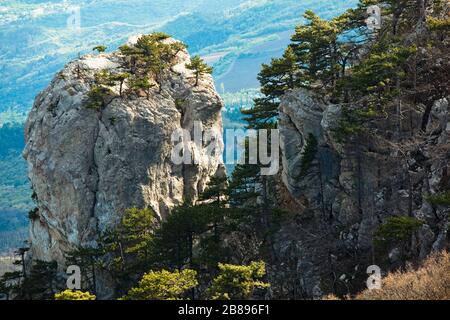 Bewitching and picturesque landscape of high steep cliffs growing on them with green conifers in an ecologically clean hilly area. Mountain vacation c Stock Photo