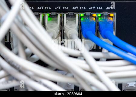 Ethernet cables connected to the Network Switch in office Stock Photo