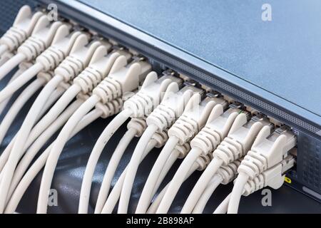Ethernet cables connected to the Network Switch in office Stock Photo