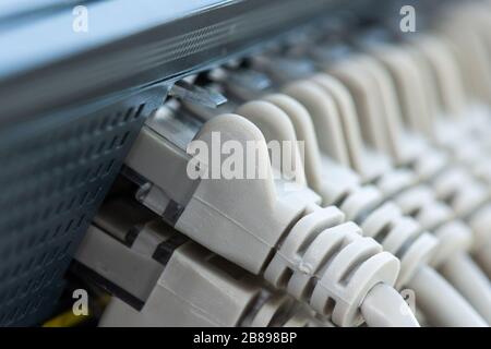 Ethernet cables connected to the Network Switch in office Stock Photo