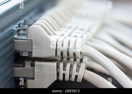 Ethernet cables connected to the Network Switch in office Stock Photo