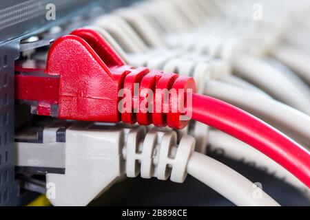Ethernet cables connected to the Network Switch in office Stock Photo
