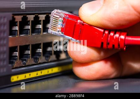 Ethernet cables connected to the Network Switch in office Stock Photo