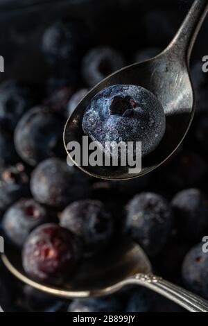 Frozen blueberry on teaspoon. Stock Photo