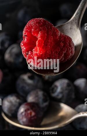 Frozen raspberry on teaspoon Stock Photo