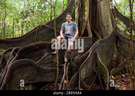 Boy sitting on the buttress roots of giant Oje tree in the Amazon Rain Forest, giving a sense of scale. Peru, South America. Stock Photo