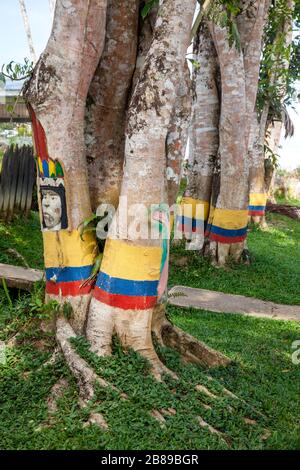 Colombian flag and an Indian painted on a tree trunk next to the road in Puerto Narino, Leticia, Amazons, Colombia, South America. Stock Photo