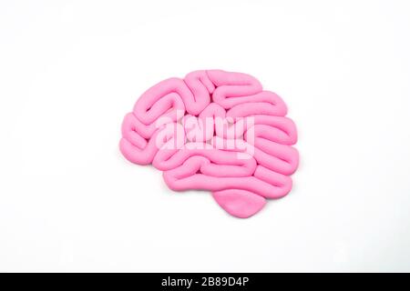 Model of pink human brain on white background. Profile view, flat lay. Intelligence concept. Stock Photo