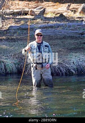 A fly fisherman fisherman casts for rainbow trout on the Metolius River in the Cascade Mountains of central Oregon. Stock Photo