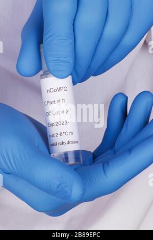Coronavirus test held between two blue gloved hands up close Stock Photo