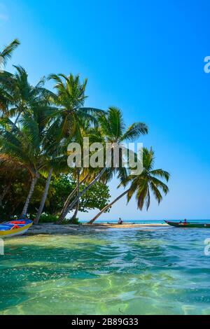 An amazing white beach with hanging palm trees over crystal clear sea. Ideal tropical paradise seen from water side. Colorful pirogues of fishermen Stock Photo