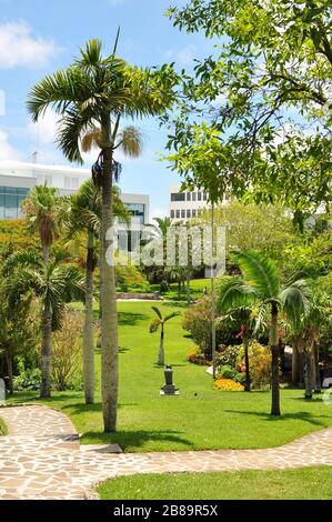 Victoria Park nature with path for walking. Vertical. Bermuda parks. Stock Photo