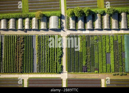 , glass roof surfaces in the greenhouse for vegetable growing ranks in Heiligenhaus, 26.07.2015, aerial view, Germany, North Rhine-Westphalia, Heiligenhaus Stock Photo