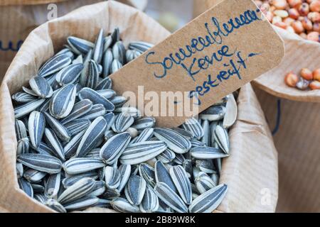 common sunflower (Helianthus annuus), birdseeds striped sunflower seeds, Germany Stock Photo