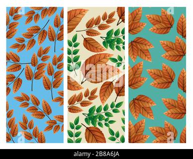 set of backgrounds of leafs autumn naturals Stock Vector