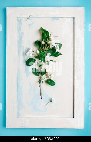 Spring concept backdrop. Apple tree branch on a wooden background in retro style.