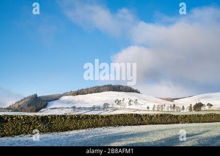 Dry stone wall in the snow covered scottish countryside. Scottish borders. Scotland Stock Photo