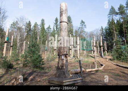 Dresden, Germany. 19th Mar, 2020. Truncated spruces stand on the grounds of the climbing forest in the Dresdner Heide. The bark beetle is to blame for this, which has caused enormous damage in the Saxon forests in recent months. Credit: Sebastian Kahnert/dpa-Zentralbild/dpa/Alamy Live News Stock Photo