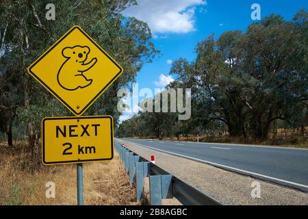 The cute, roadside standard yellow, diamond warning sign for a koala bear area. In Victoria, Australia. Stock Photo