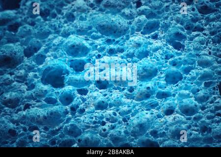 Macro of biological texture. Element of design. Cell blue background. Stock Photo