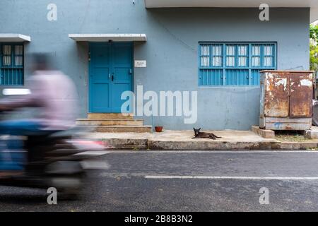 Pondicherry, India - March 17, 2018: An unrecognisable man passing in front of a blue residential building entrance on a scooter with motion blur and Stock Photo