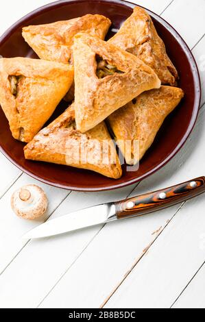 Tatar pie triangle echpochmak, Russian kurnik, delicious pastry with  chicken and potatoes. Traditional food, quick snack of dough Stock Photo -  Alamy