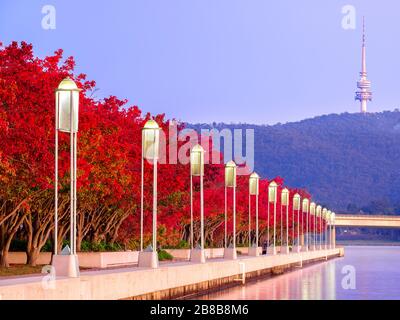 Lake Burley Griffin, Canberra, ACT. Stock Photo